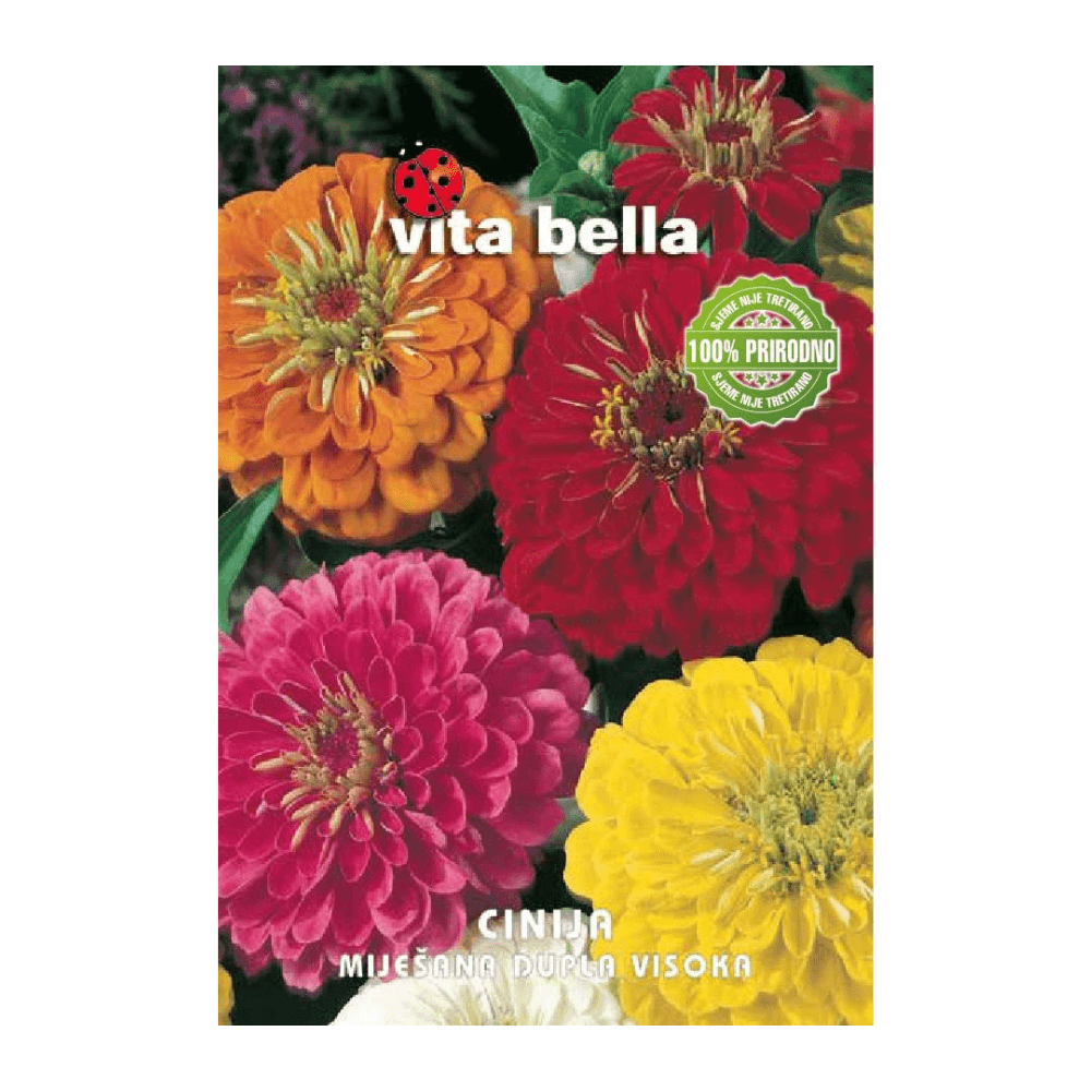 Cinija Cinija - Slika 1